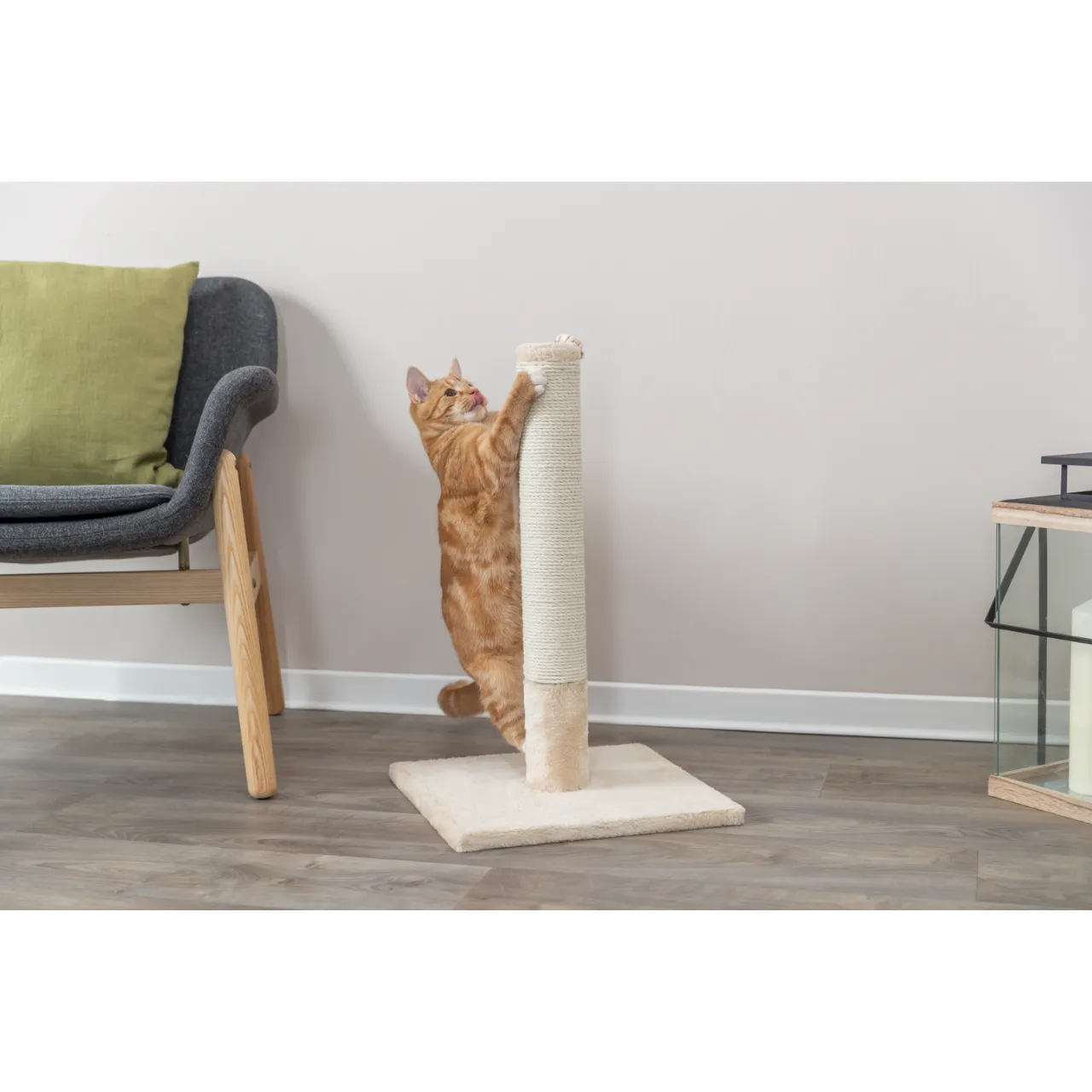 Trixie kradsetræer Batres Beige 62 cm