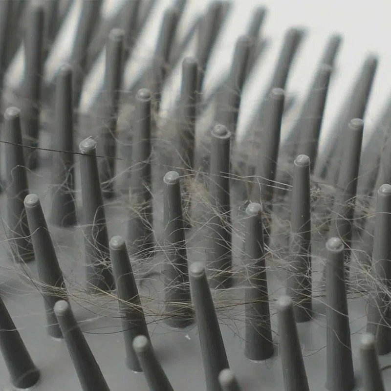 Catit Senses 2.0 Self Groomer - Kattebørste