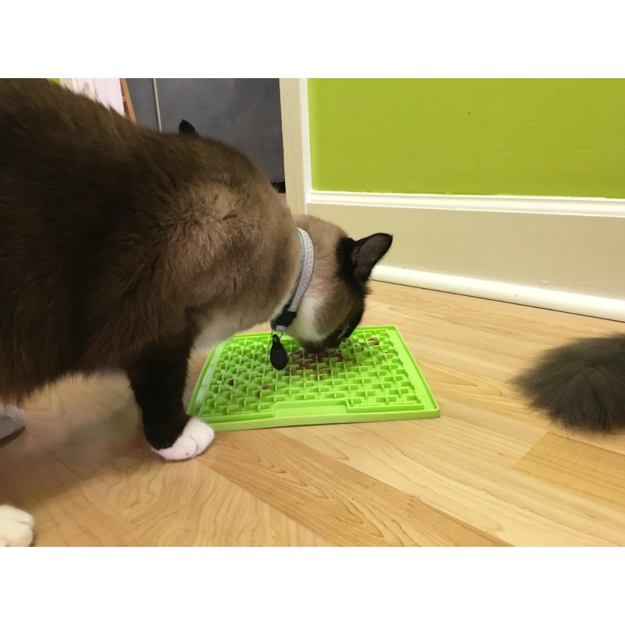 LickiMat Slikkemåtte 20 x 20 cm Orange - aktiveringsmåtte til hunde