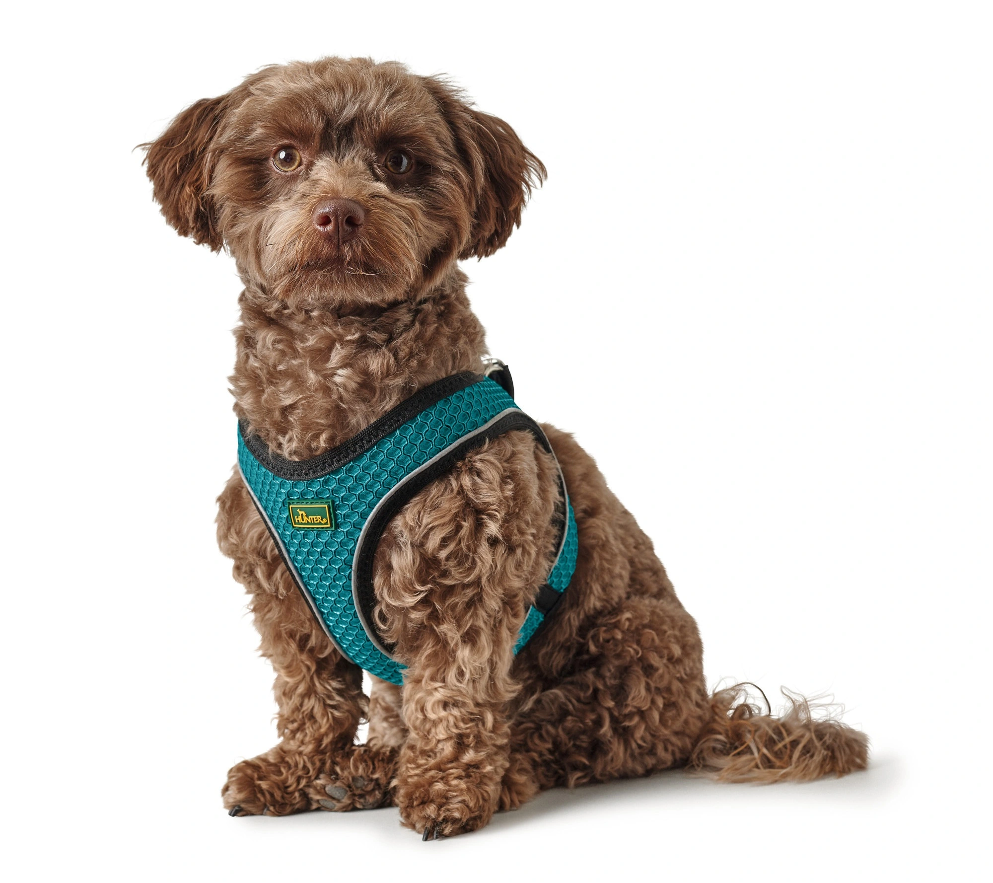Hunter NY Hilo Comfort hundesele XXS turkis mave/bryst 31-33 cm - Ultralet komfort til små hunde