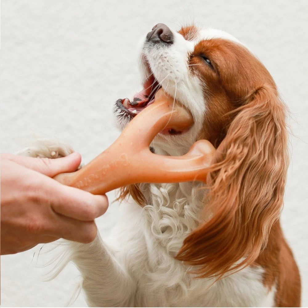 Benebone Wishbone Kylling S - tyggeben med kylling