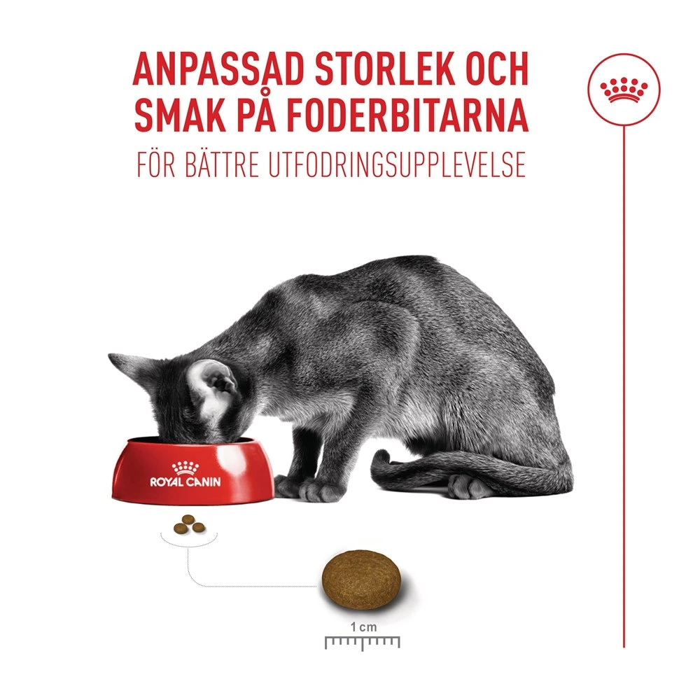Royal Canin Exigent FHN Fussy 4 kg
