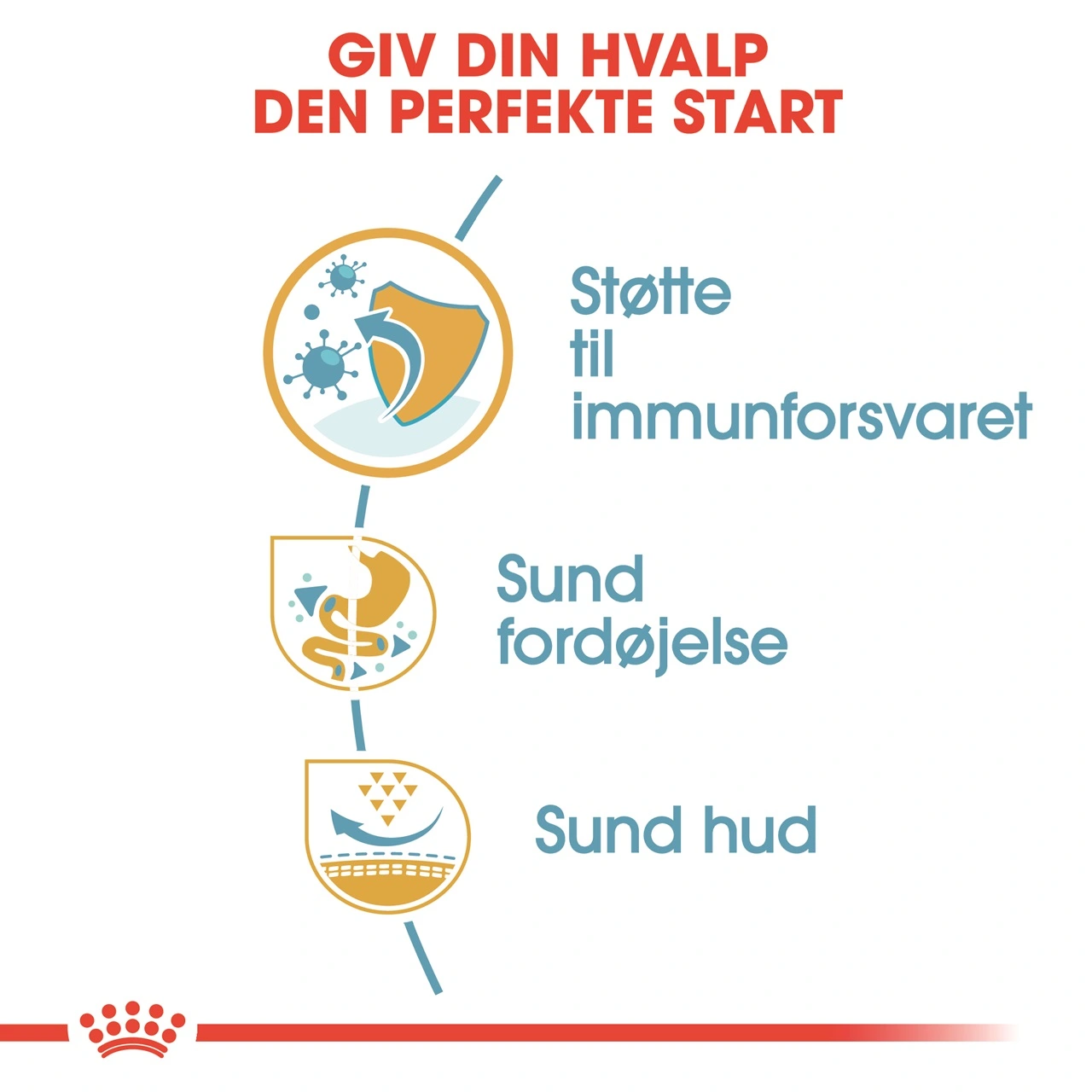 Royal Canin French Bulldog Puppy 10 kg - tørfoder til hvalpe