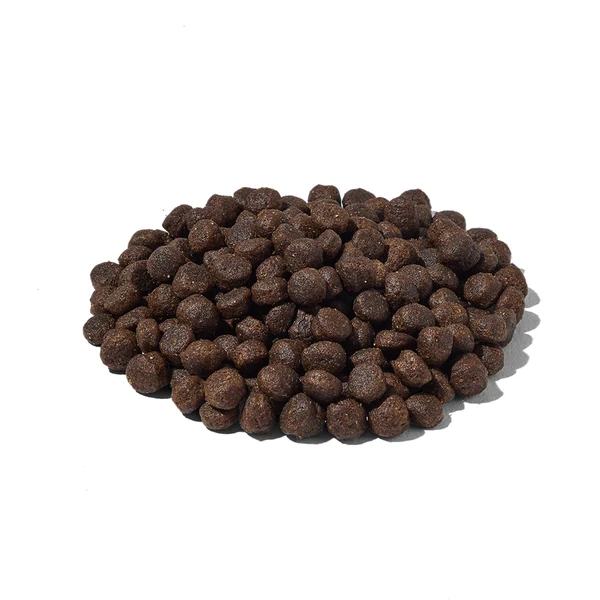 Natura Diet Iberico og Ris Hundefoder 500 g - Naturligt og allergivenligt