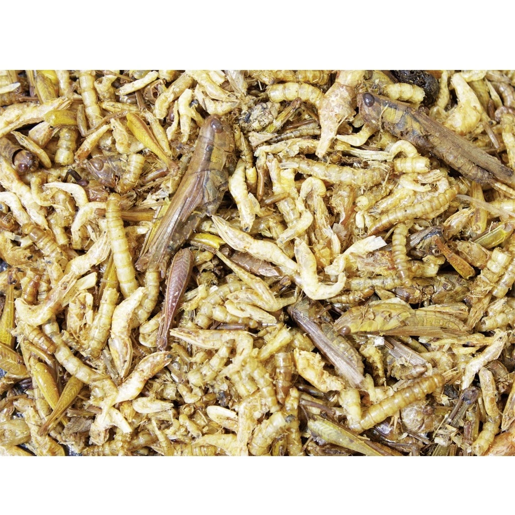 JR Farm Protein Cocktail Dåse 75 g