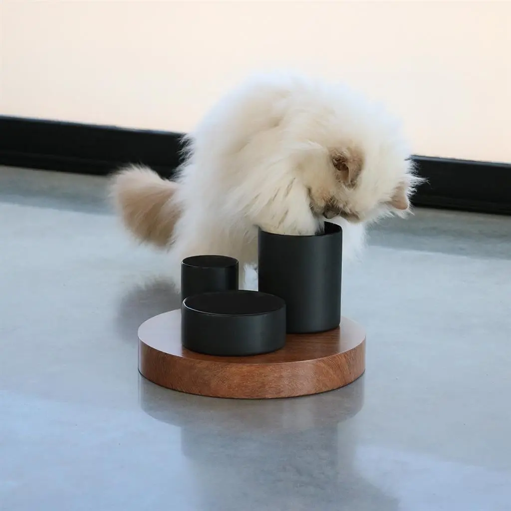 D&D CAT IGGY Slow Feeder 27x27x19 cm Sort