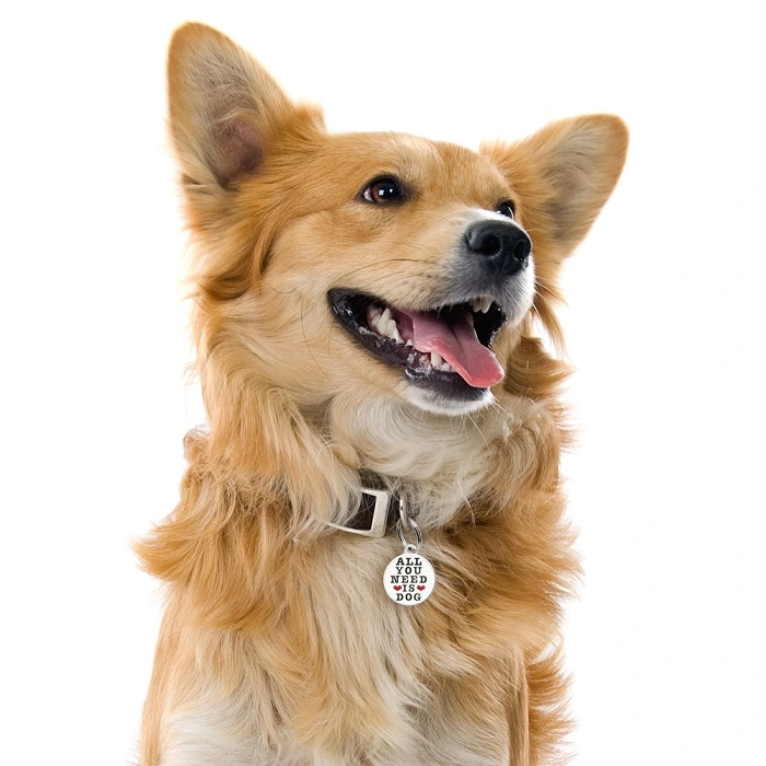 My Family Hundetegn All You Need Is Dog