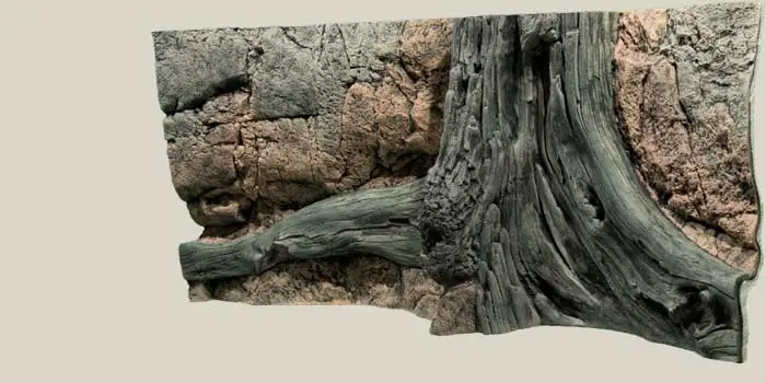 Back to Nature Amazonas 120 cm