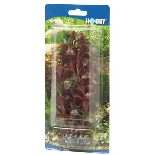 Hobby Rotala 16 cm