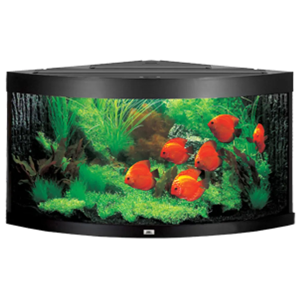 Juwel Trigon 350 Sort Akvarium