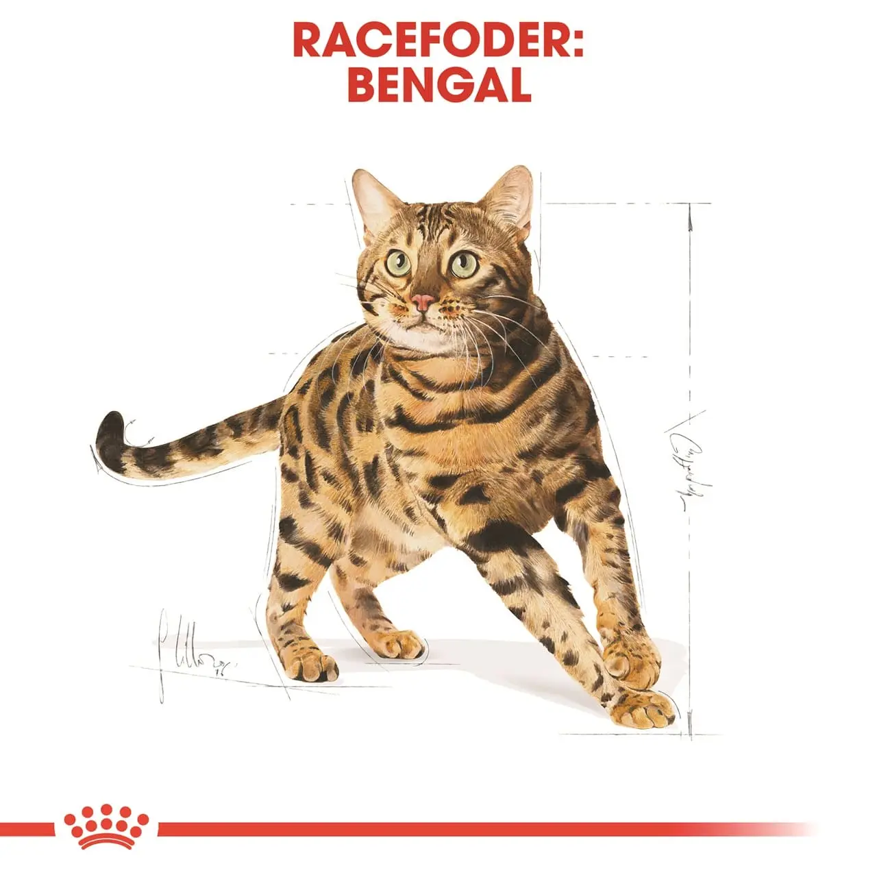 Royal Canin Bengal 2 kg Adult