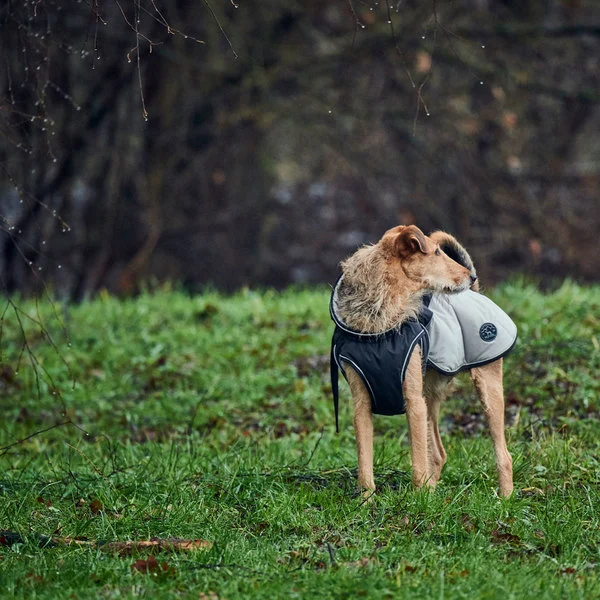 Hunter Uppsala Hundefrakke Grå 25 cm