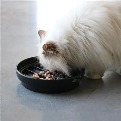 D&D CAT SUE- Slow Feeder