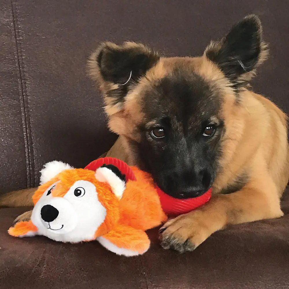 Kong Cozie Pocketz Fox M - sjov rævebamse til hunde