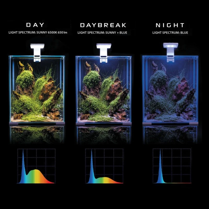 Shrimpset Day and Night 20 L akvarium 25x25x30 cm Sort
