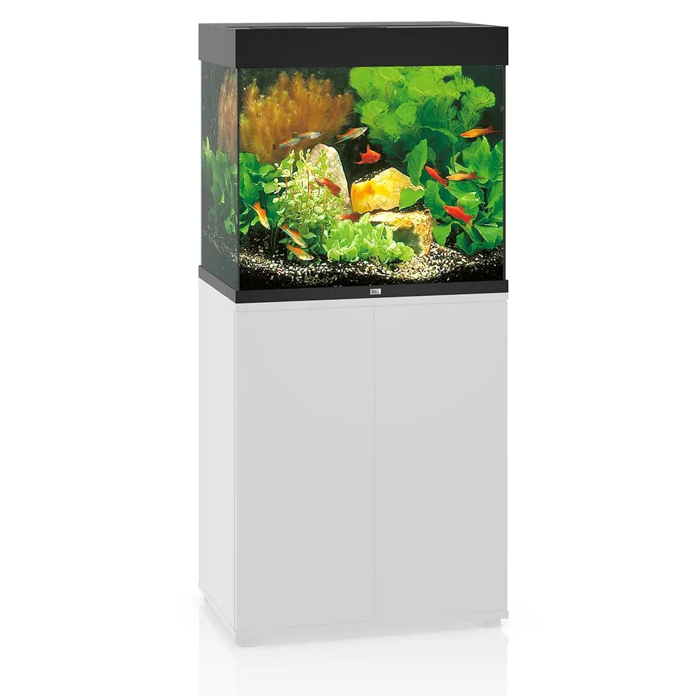 Juwel Akvarium Lido 120 Liter Sort 61x41x58 cm