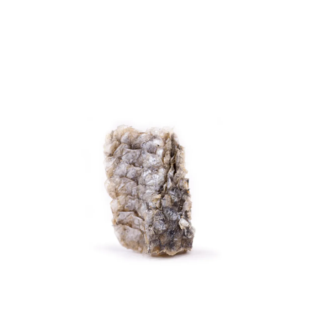 Snackit Lakseskind Mini Ruller 100 g - naturlige hundesnacks