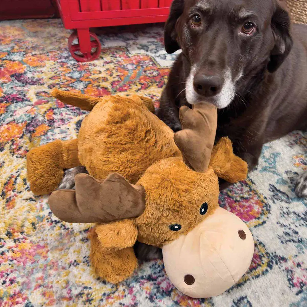 Kong Cozie Marvin Moose Jumbo XL - kæmpe bamse til store hunde