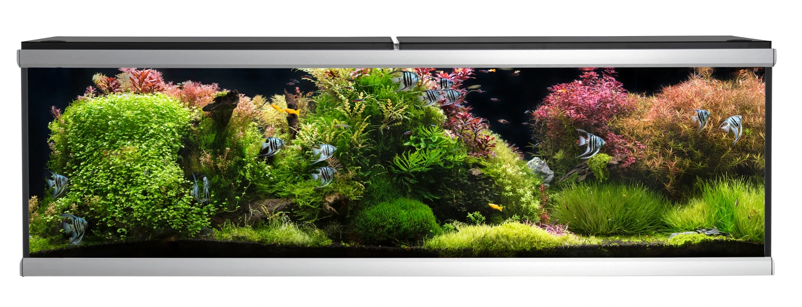 MOVE akvarium 720 liter Sort