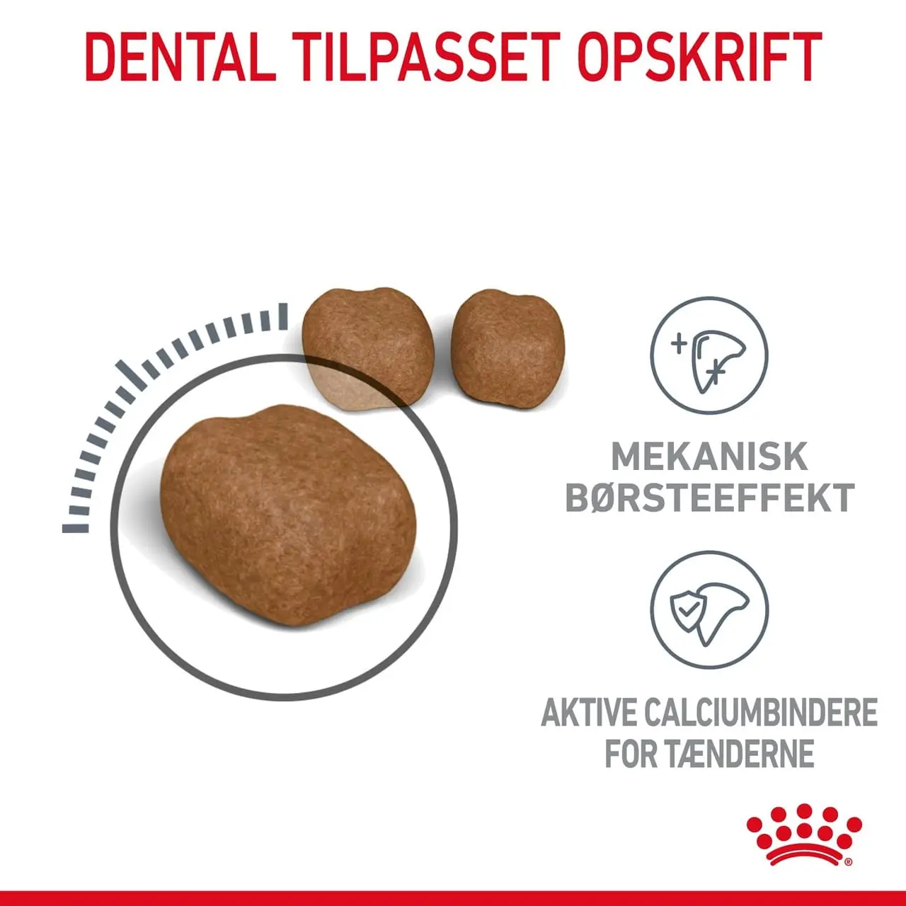 Royal Canin Dental Care 400 gram