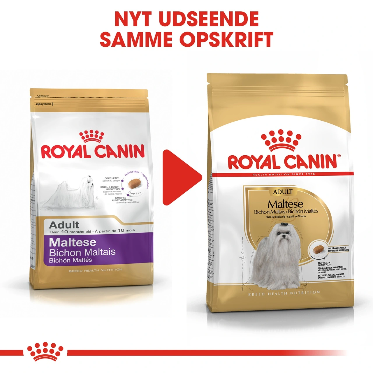 Royal Canin Maltese Adult 1,5 kg - tørfoder til maltesere