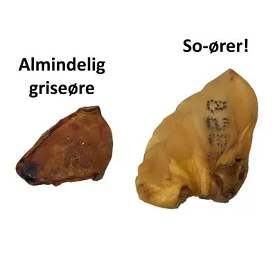 Treattime So øre XXL 1 stk - Naturligt tyggeben