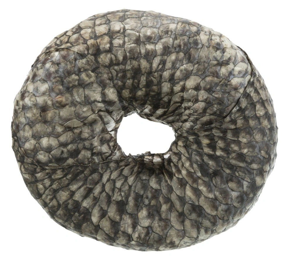 Denta Fun Tyggering med Fisk Ø 10 cm - sund hundesnack