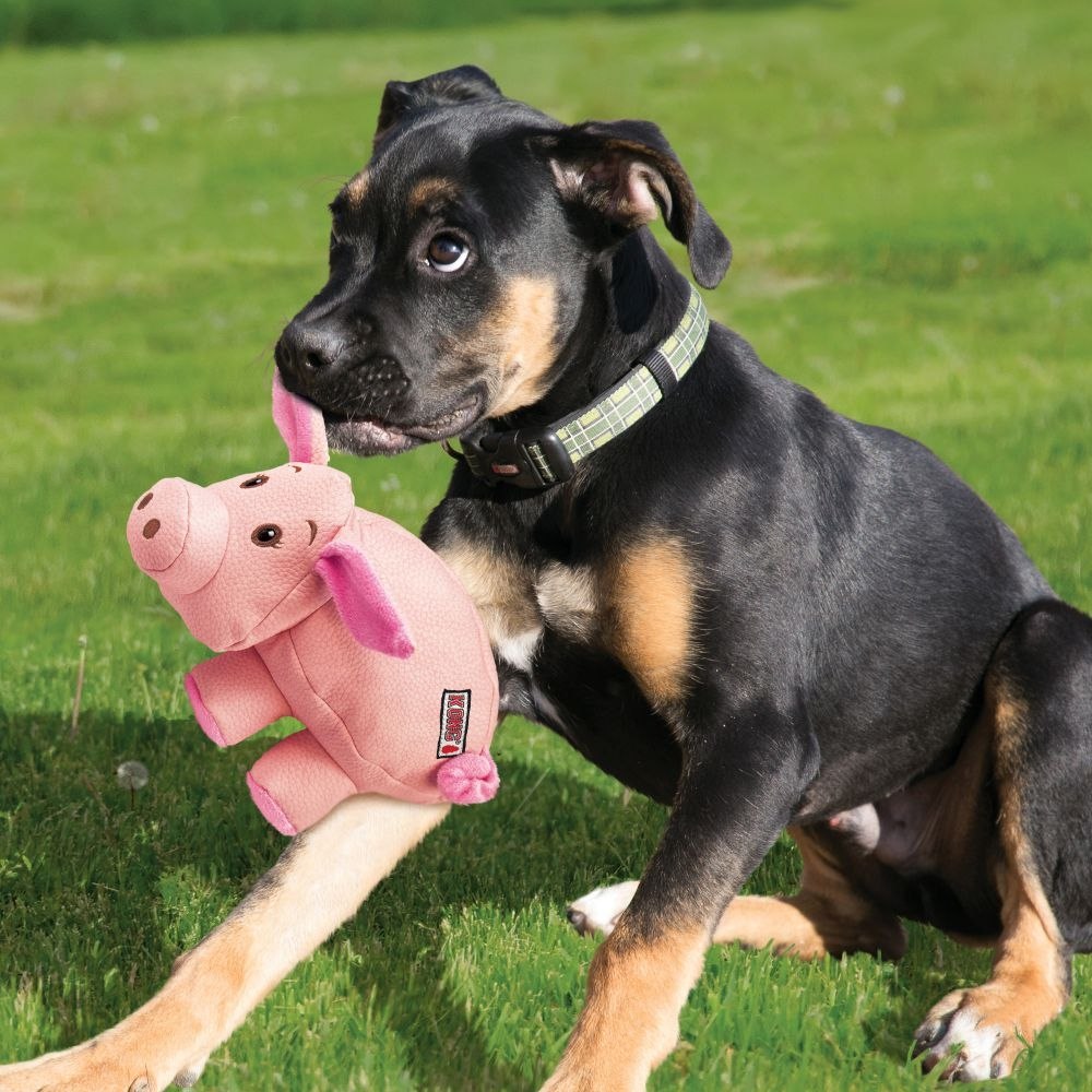 KONG Hundebamse Phatz Gris Small - bamse til hunde