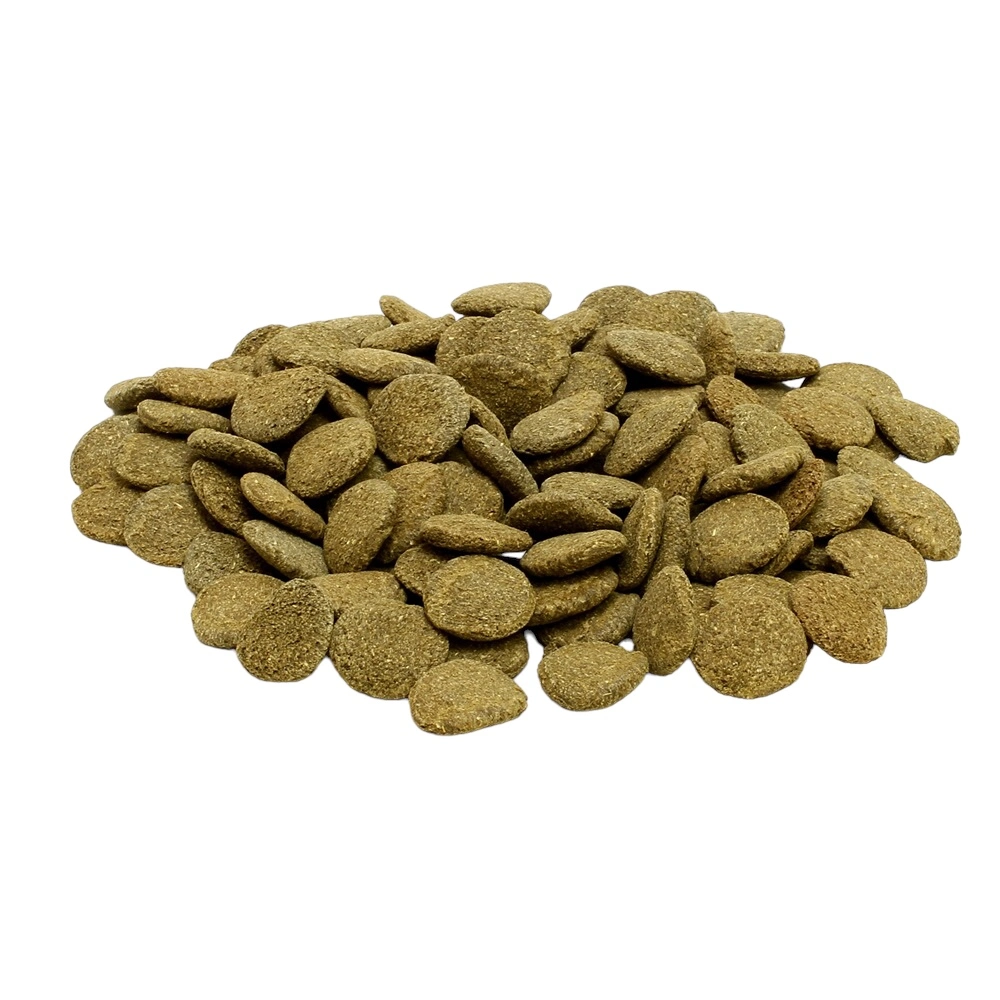 JBL ProNovo Pleco Wafer XL 5,5 Liter