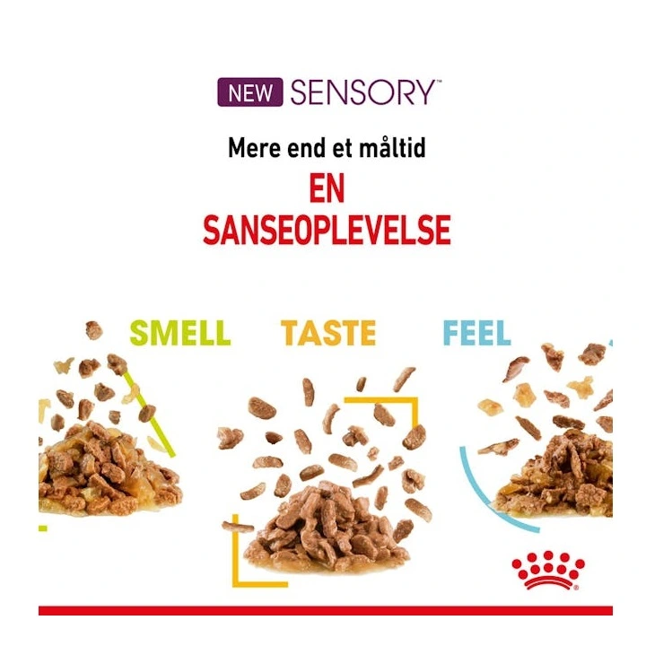 Royal Canin Kattevådmad Sensory Smell Sovs Adult