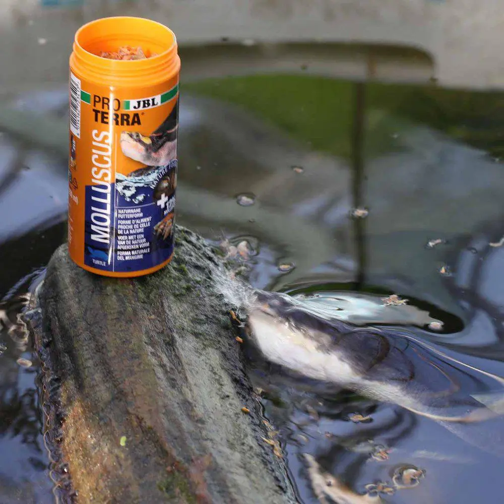 JBL ProTerra Molluscus 1 Liter Skildpaddefoder