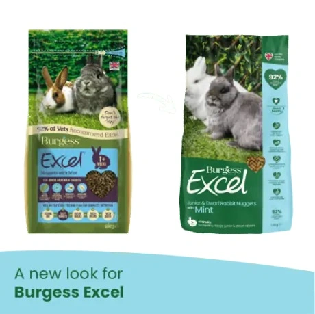 Burgess Excel Junior Kaninfoder 1,5 kg - Til junior og dværgkaniner med mint