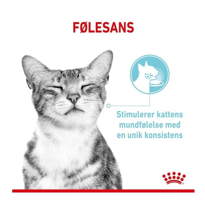 Royal Canin Kattevådmad Sensory Feel Sovs Adult