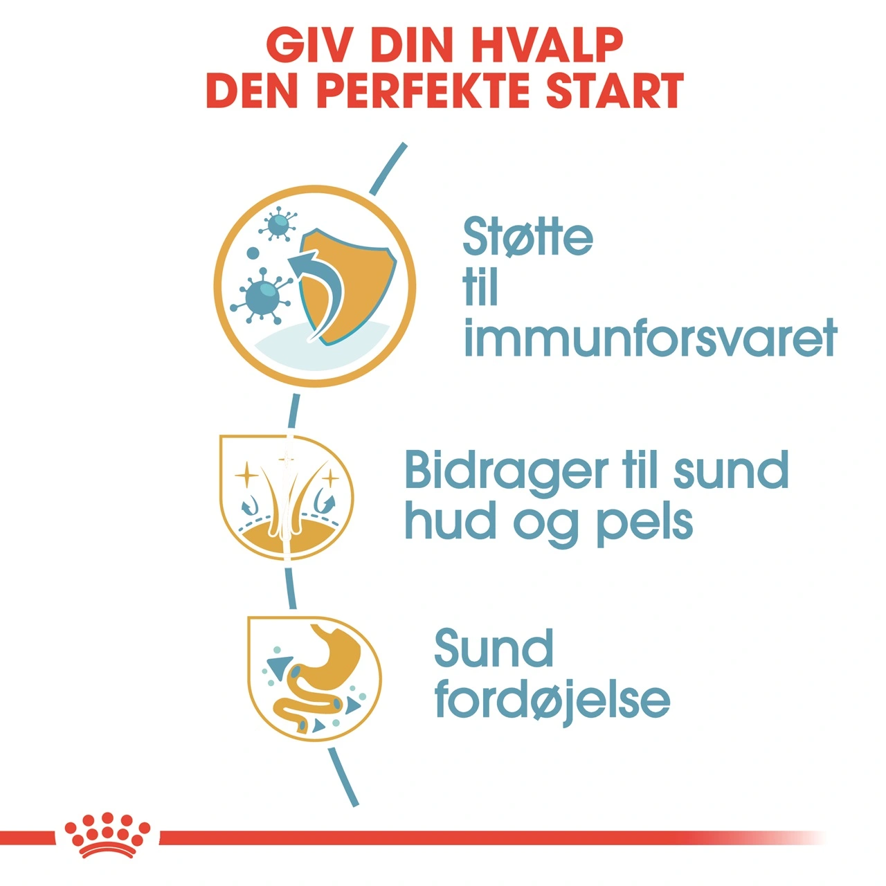 Royal Canin Golden Retriever Puppy 12 kg - tørfoder til hvalpe