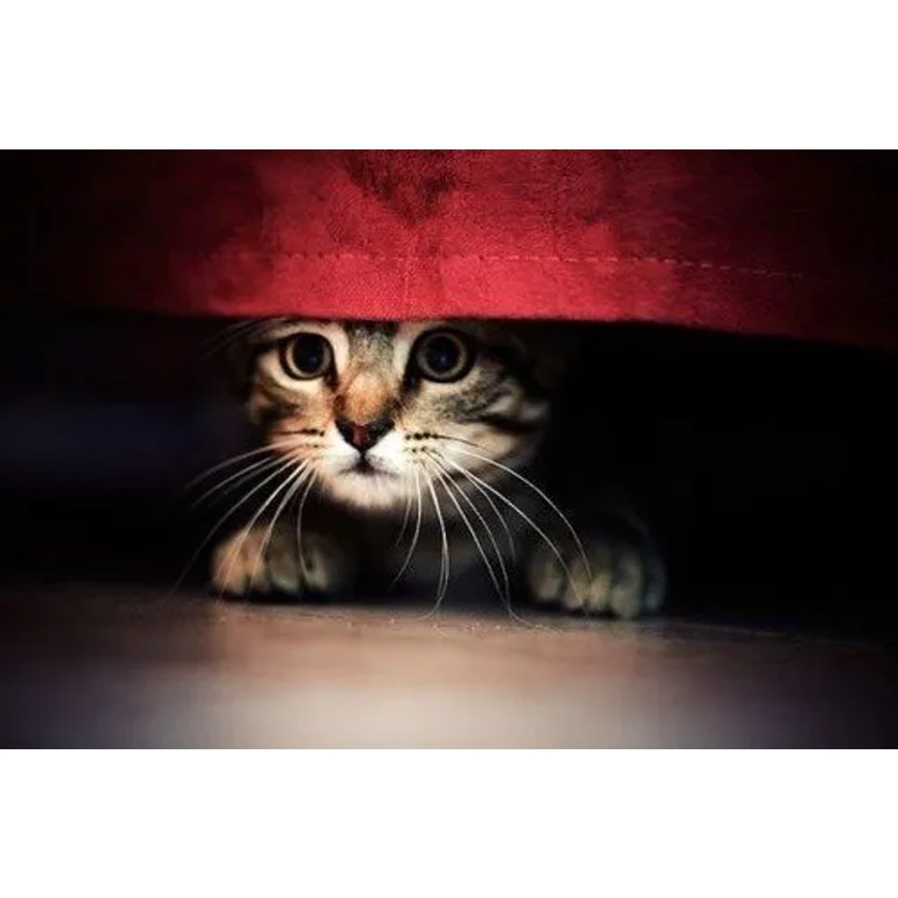 Feliway Classic Spray 20 ml