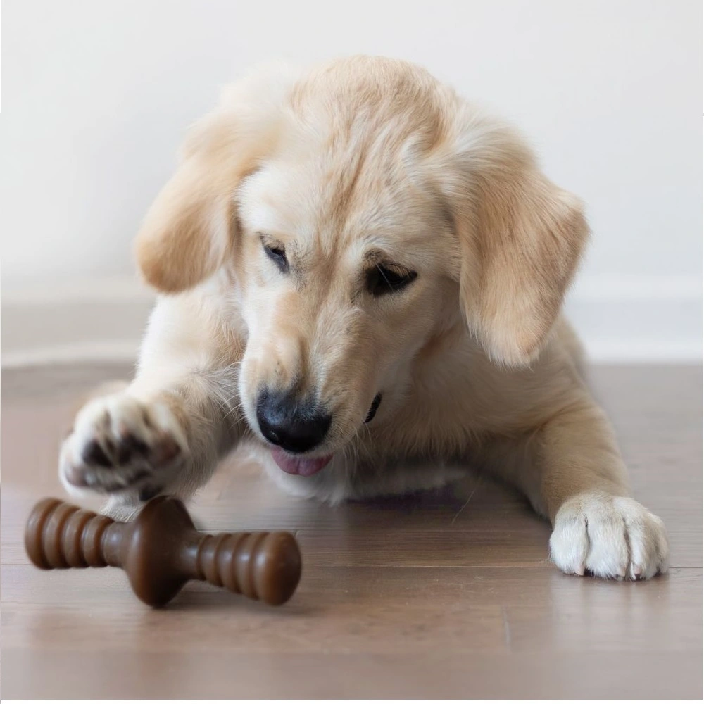 Benebone Zaggler Peanut S - tyggeben med peanut