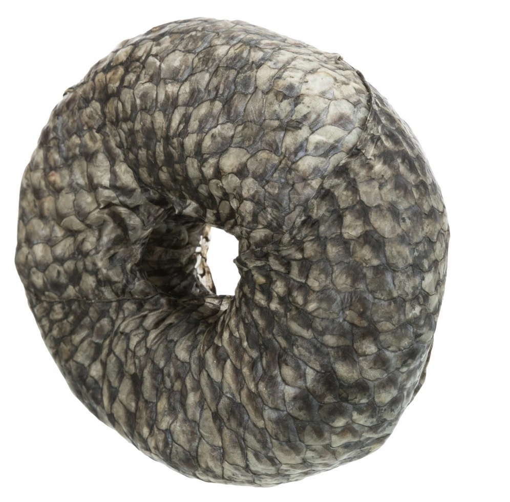 Denta Fun Tyggering med Fisk Ø 10 cm - sund hundesnack