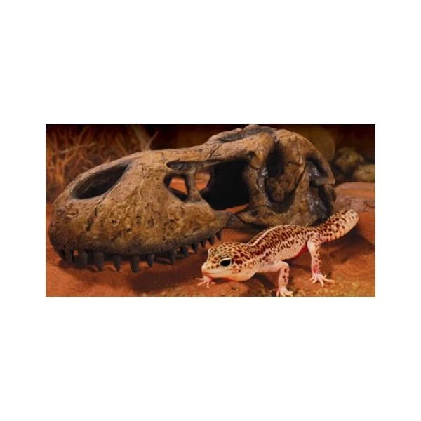 Exo Terra T-REX Kranie