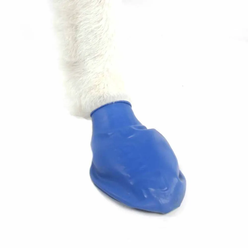 Pawz hundesko Medium 7,6 cm blå