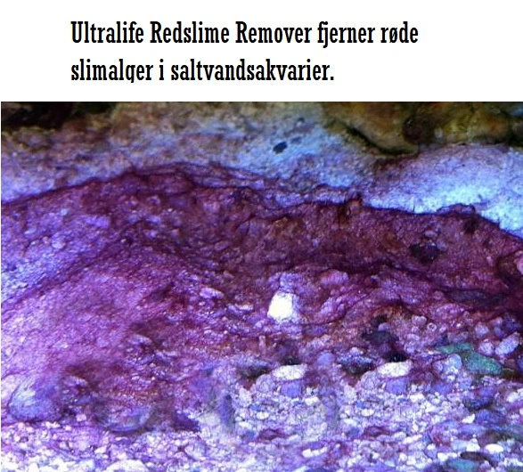 UltraLife Red Slime Remover af Cyanobakterier