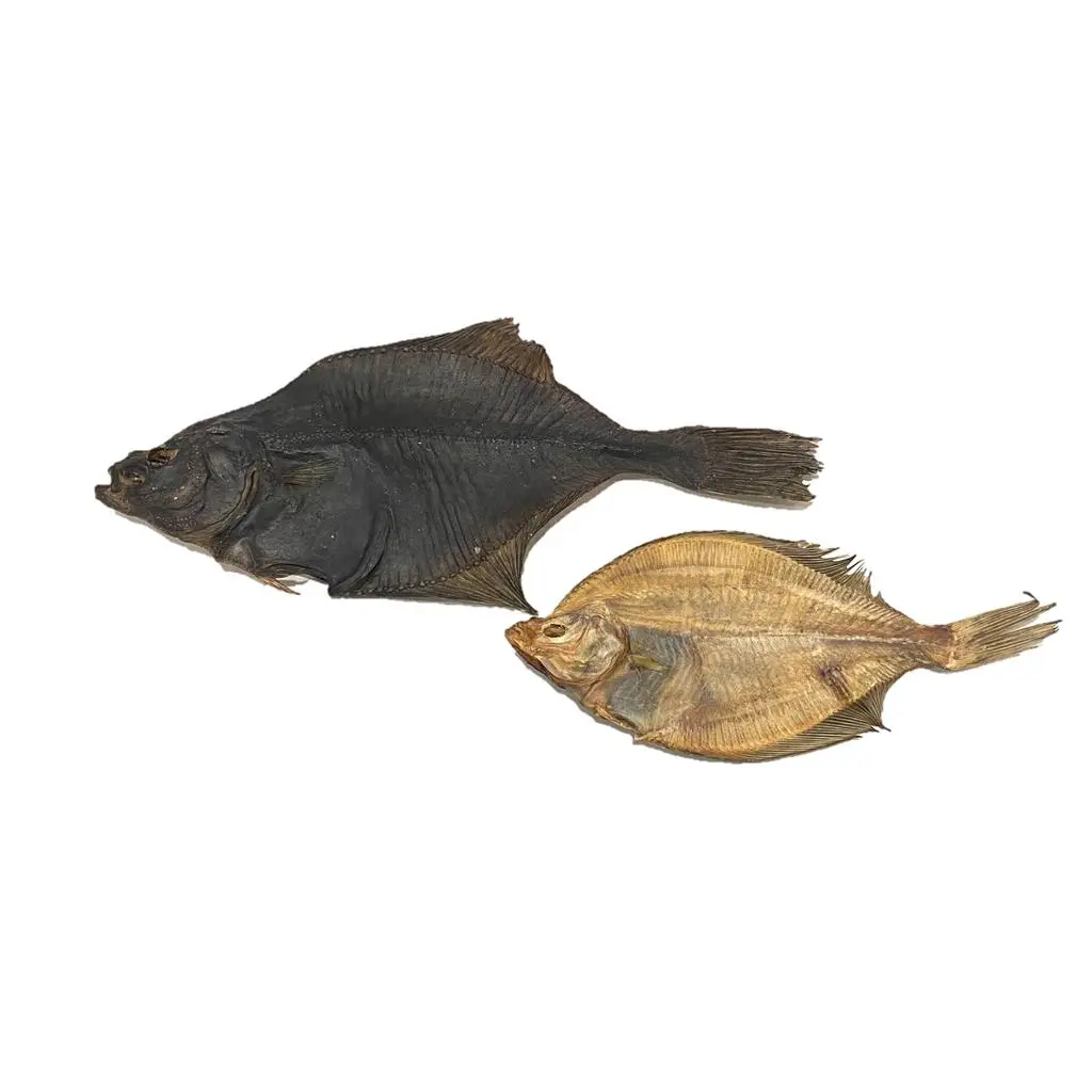 Treattime Fladfisk - Natursnack til hunde