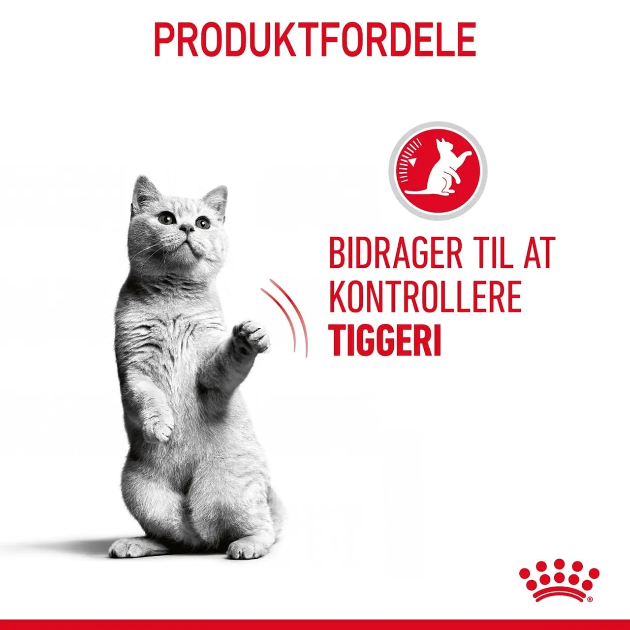 Royal Canin Care Appetite Control Gravy vådfoder 85 g
