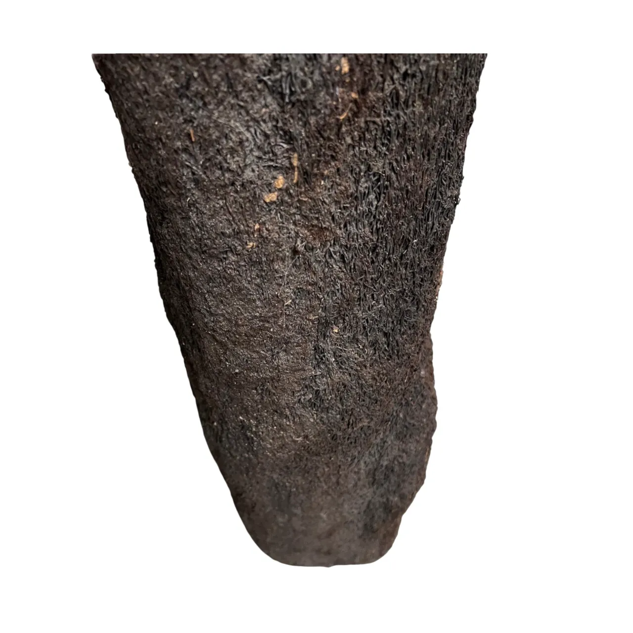 MiniZoo.dk Xaxim Træstamme Ø 30-40 cm XXL ca 1 meter
