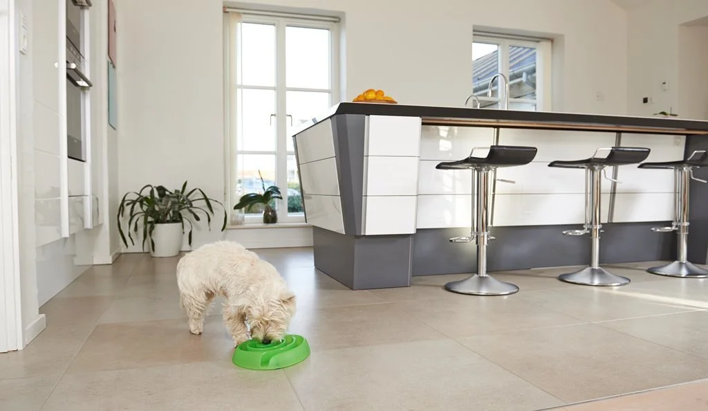 Buster dogmaze (Lime)