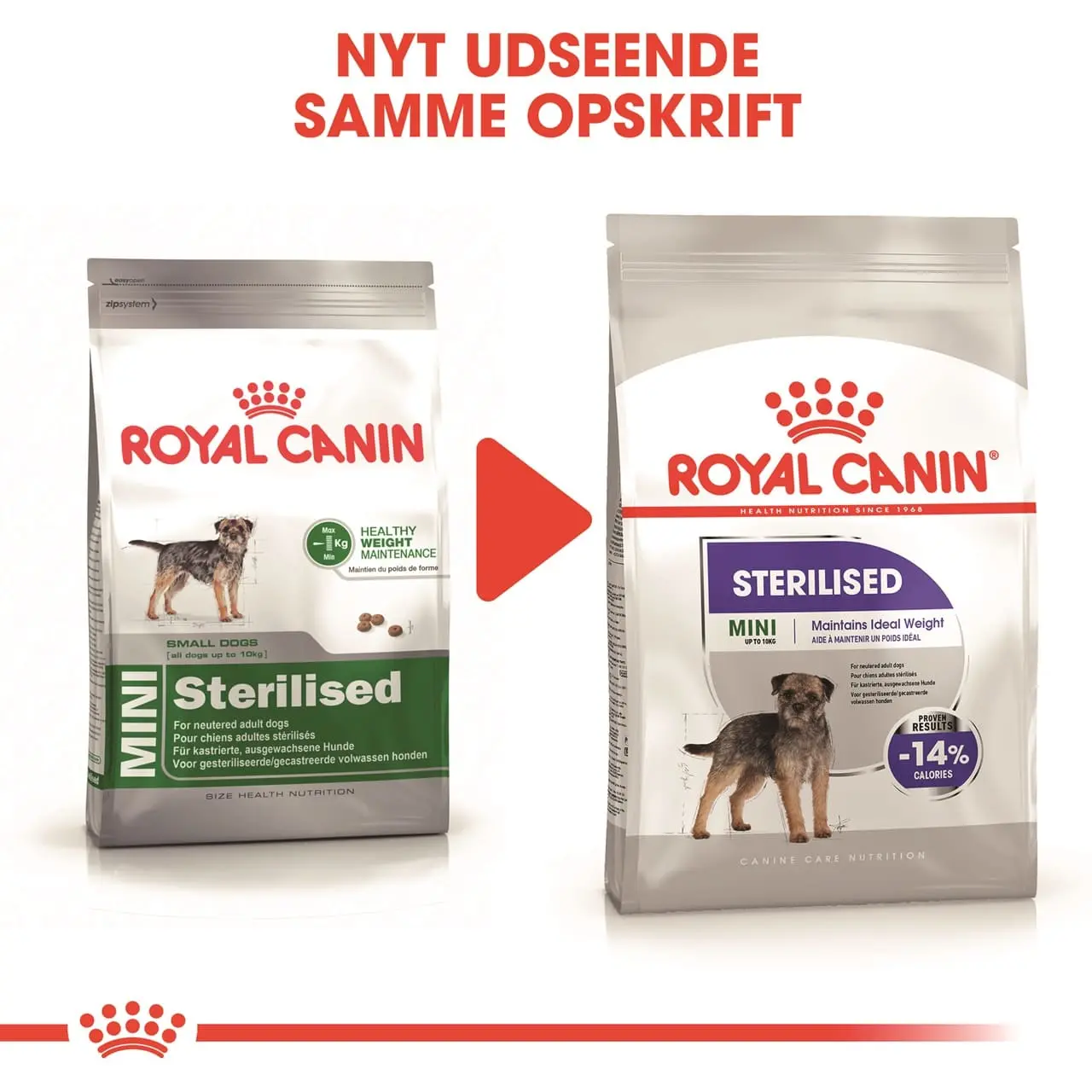 Royal Canin Mini Sterilised Adult 8 kg - hundefoder til steriliserede små hunde