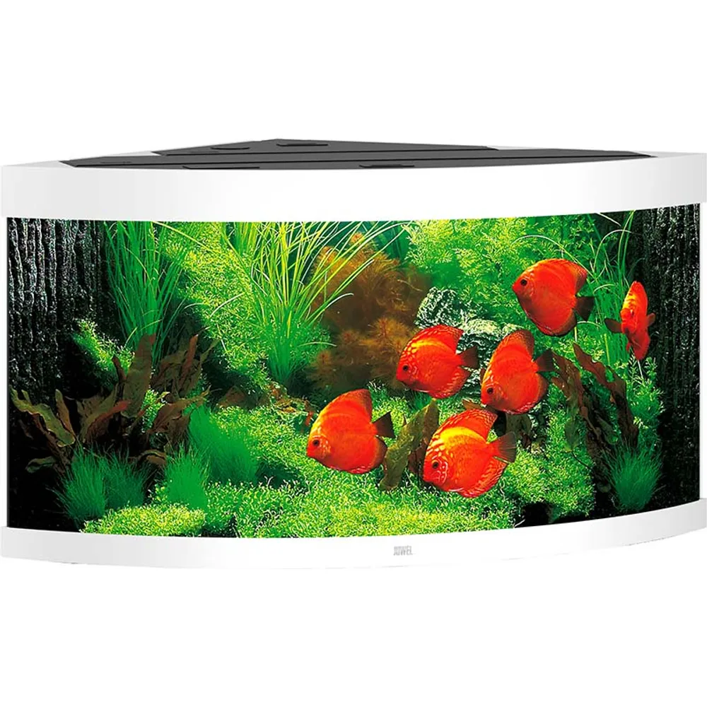 Juwel Trigon 350 Hvidt Akvarium
