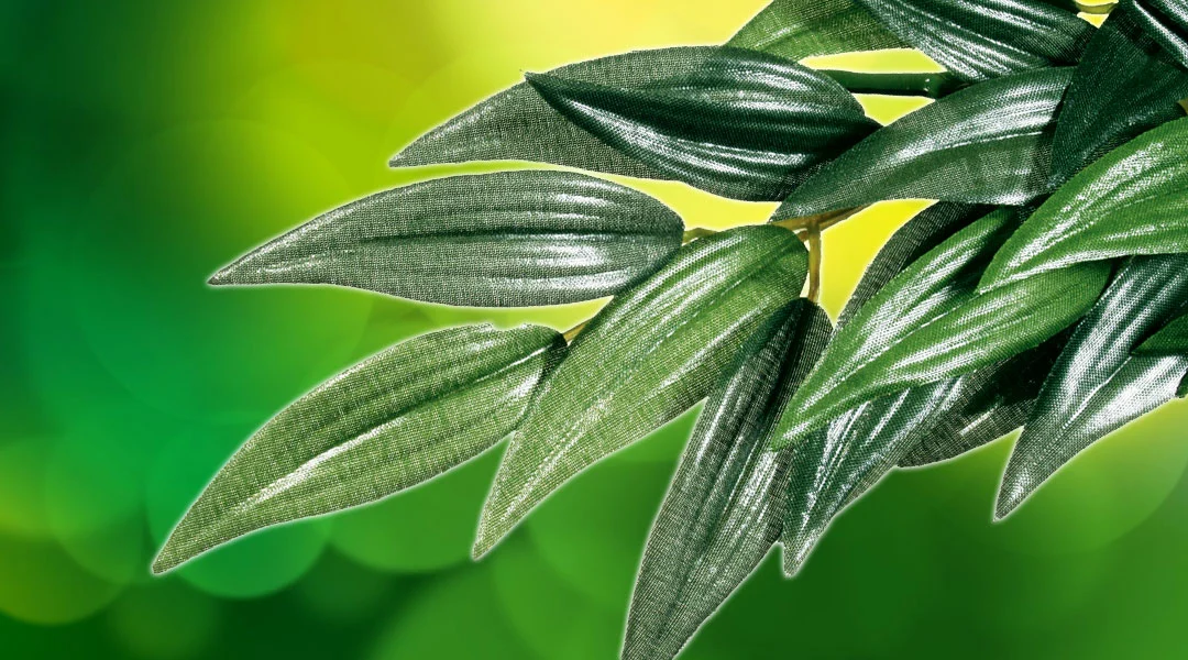 Exo Terra Ruscus stor