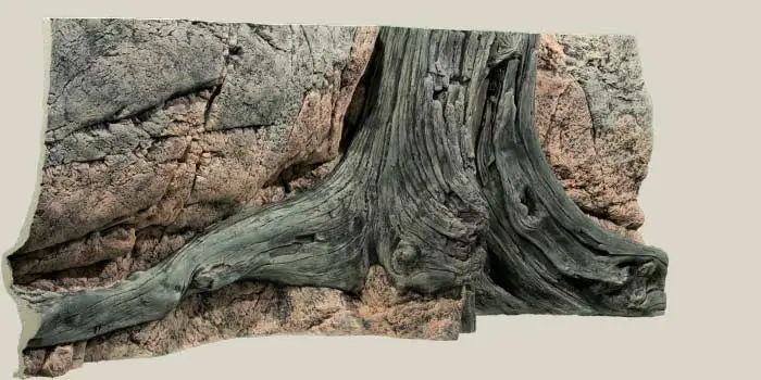 Back to Nature Amazonas 130 cm