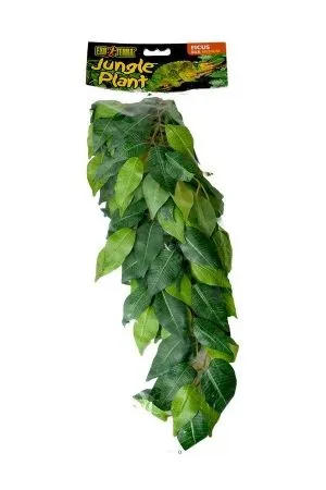 Exo Terra Ficus medium