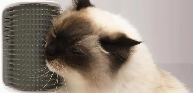 Catit Senses 2.0 Self Groomer - Kattebørste